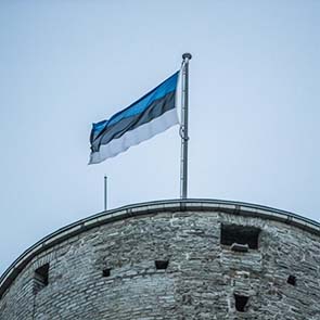 Estonca Terc�me B�rosu �zmir Yeminli Terc�man Estonca